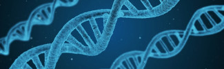 dna-1811955_960_720