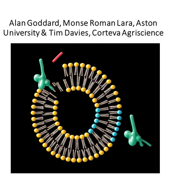 POC-HVB-FOF 202310 Goddard CASE STUDY thumbnail 1