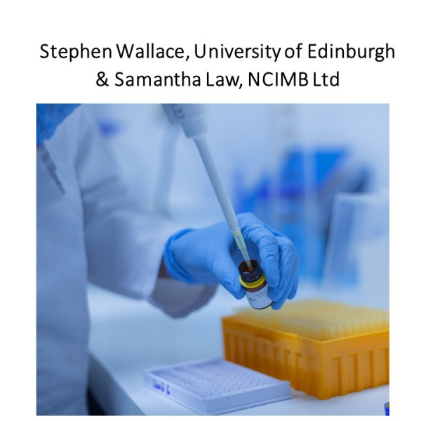 POC-HVB-FOF 202308 Wallace CASE STUDY thumbnail