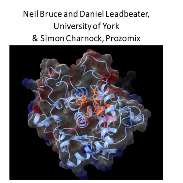 POC-HVB-FOF 202307 BRUCE Case study thumbnail
