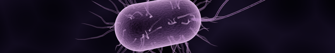 bacteria-1832824_960_720