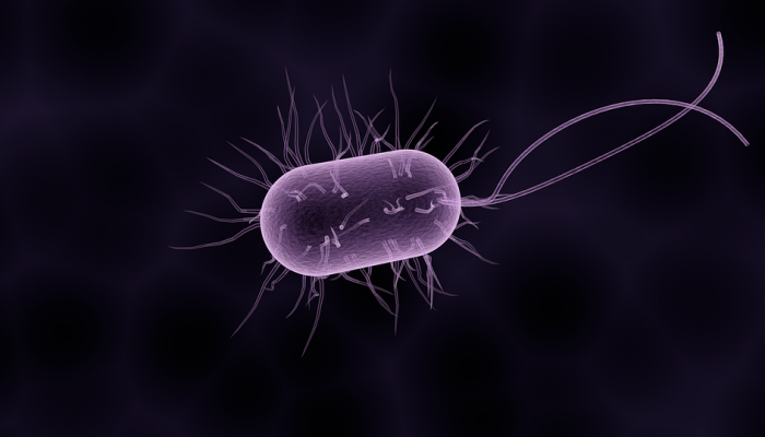 bacteria-1832824_960_720