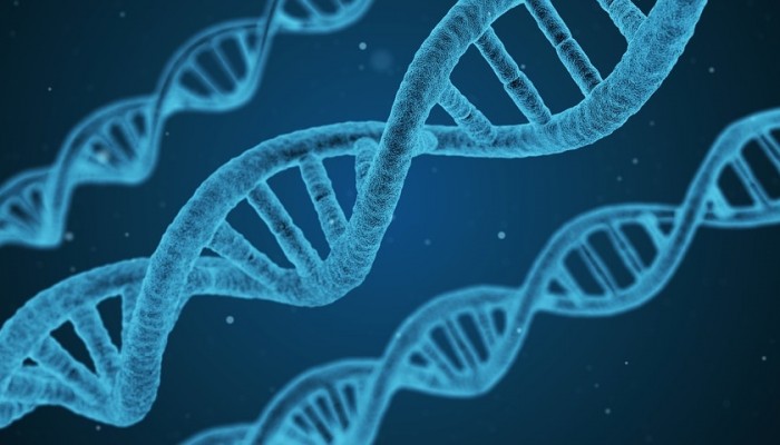 dna-1811955_960_720